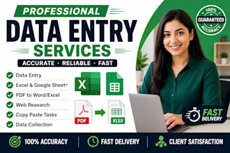 do accurate data entry,excel data processing
