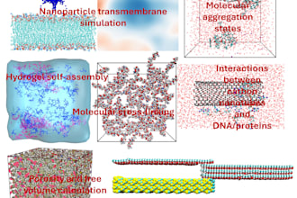 perform molecular dynamics MD simulations using gromacs, lammps, or cp2k