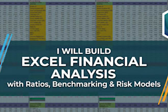 build excel financial analysis with ratios, benchmarking and risk models