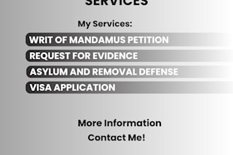 be your lawyer for US expert visa, green card, asylum and removal defense help