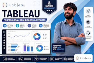 create professional tableau dashboards reports and data visualization