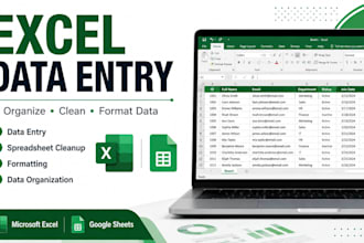 do excel data entry, formatting and spreadsheet cleanup