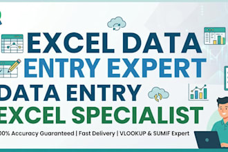 do expert data entry and advanced excel spreadsheet