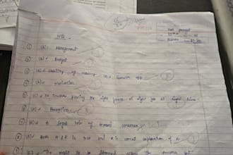teach accountancy and business studies class 11 and 12