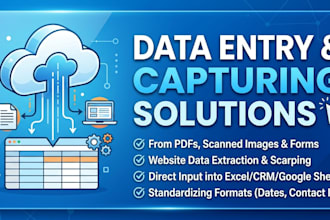 do professional data entry and accurate data capturing