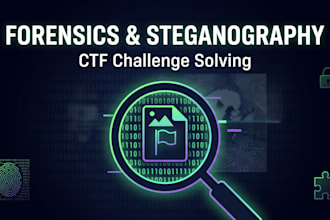 solve digital forensics and steganography challenges