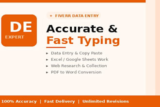 do fast data entry typing, copy paste and pdf to word excel in 24 hours