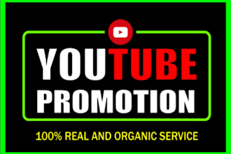 do organic usa youtube promotion usa video promotion for real audience in usa
