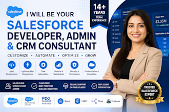 be your salesforce developer, admin and CRM consultant