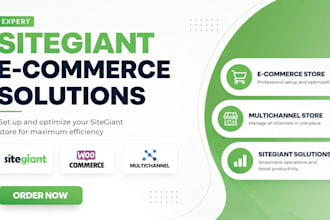 design sitegiant ecommerce website and multichannel store