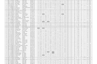 work on excel word and other data processing