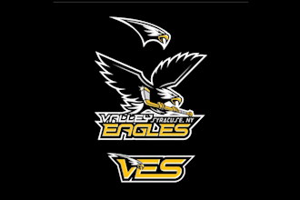do sports eagle mascot logo for youth ice hockey association