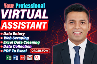 do professional data entry, data collection, web scraping, excel data cleaning