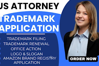 file US trademark notice of allowance or statement of use