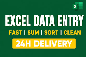 do fast excel data entry, web research, sorting in 2 hours
