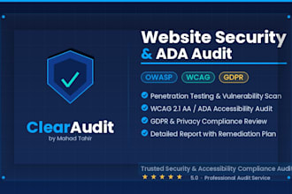 do a professional website security audit owasp top 10 with detailed report