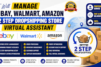 manage ebay walmart amazon 2 step dropshipping store virtual assistant