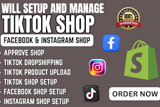 setup tiktok dropshipping shop fb ig shop meta ads shopify store integration