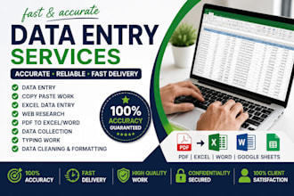 do accurate data entry, exel data entry, copy paste, and web research
