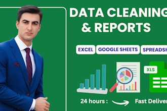 do data entry, data cleaning and reports in google sheets and excel