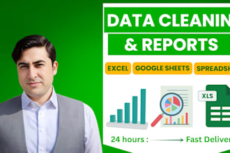 do data entry, data cleaning and reports in google sheets and excel