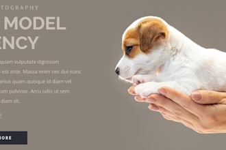 create a pet care google sites website, pet grooming and veterinary website