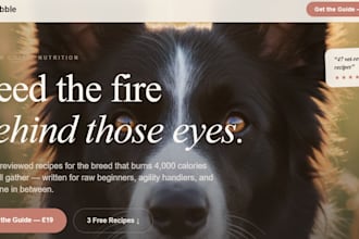 design a dog services, pet grooming, veterinary, and pet care website