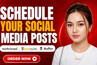 schedule posts on tiktok, facebook, instagram via buffer, hootsuite, metricool