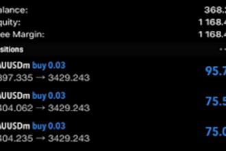 do best account management and pass account challenges and make profit
