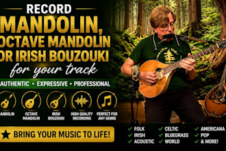 record mandolin, octave mandolin or irish bouzouki for your track