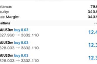 manage mt4, mt5 account management, challenge account management account manage