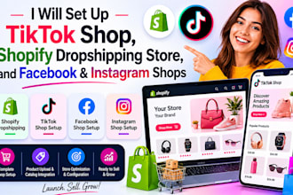 set up tiktok shop, shopify dropshipping store, and faceboook and instagram shop