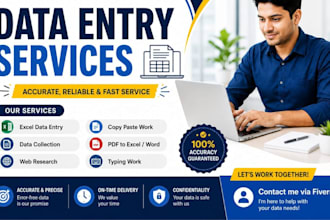 do professional data entry and ms excel data formatting