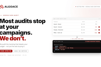 do an expert google ads audit find wasted spend and fix tracking