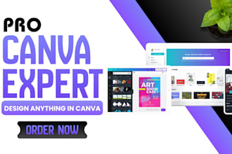 be your canva pro expert and design anything in canva