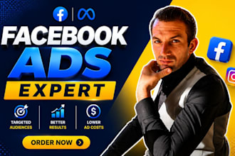 audit optimize and manage facebook ads campaigns for lead generation