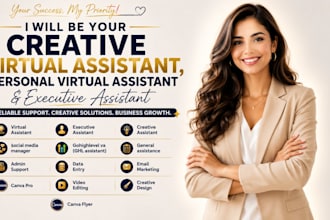 do creative virtual assistant, personal virtual assistant, executive assistant