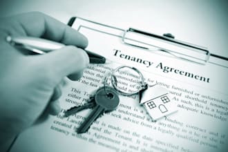 draft a professional lease agreement, rental contract, and tenancy agreement