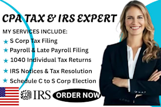 handle s corp taxes, schedule c to s corp conversion, 1040 filling cpa, payroll