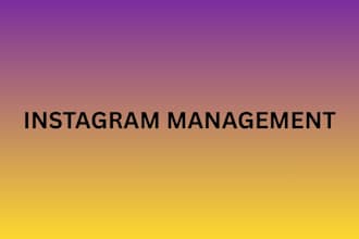 do instagram management for your business