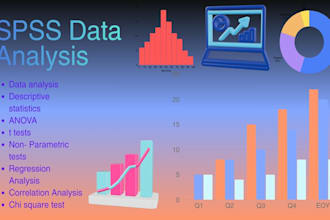do professional spss data analysis and statistical reporting