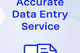 do fast and accurate data entry, excel work, and web research