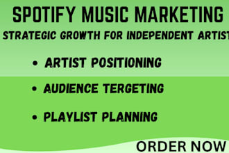 build a strategic spotify growth plan for independent artists