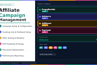 manage and optimize your propellerads push and pop campaigns