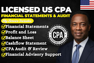 prepare investor ready financial statement, audit ready statement, audit report