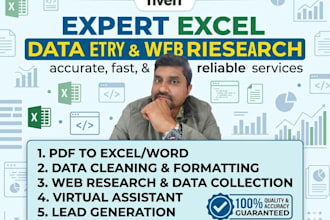 do expert excel data entry and web research