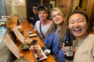 help you plan your japan trip in a 1 hour online consultation