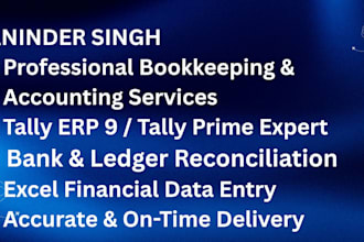 do professional bookkeeping, accounting, and data entry in tally and excel