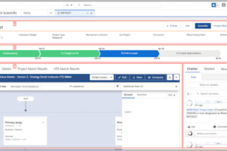 build your salesforce platform and develop any interface