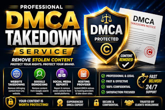 remove stolen content with professional dmca takedown service